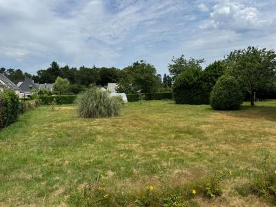 Annonce Vente Terrain Camors 56