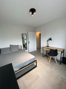 Annonce Location 7 pices Appartement Villeurbanne 69