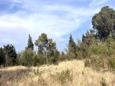 Annonce Vente Terrain Boutenac 11