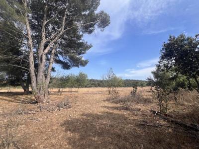 Acheter Terrain 4795 m2 Boutenac