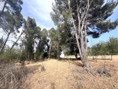 Acheter Terrain Boutenac Aude