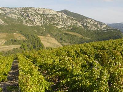 Acheter Terrain Boutenac 240000 euros