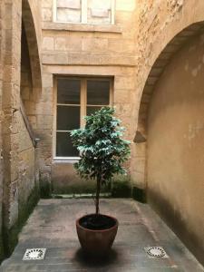 Annonce Location Appartement Bordeaux 33