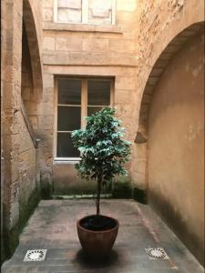 Louer Appartement 22 m2 Bordeaux