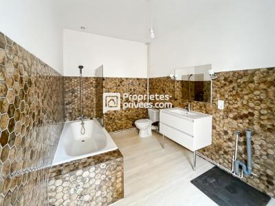Acheter Immeuble Saint-andre-de-cubzac Gironde