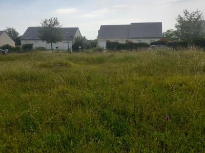 For sale Noyant 687 m2 Maine et loire (49490) photo 2