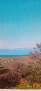 For sale Saint-laurent-sur-mer 1500 m2 Calvados (14710) photo 4