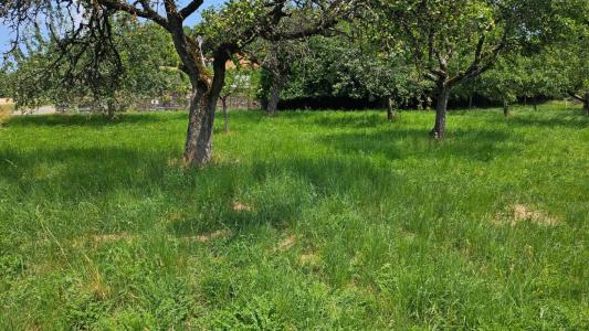 Annonce Vente Terrain Chapelle-blanche 73