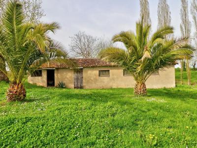 For sale Sainte-ouenne 964 m2 Deux sevres (79220) photo 2