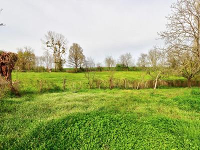 For sale Sainte-ouenne 964 m2 Deux sevres (79220) photo 3