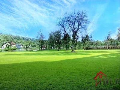 For sale Zetting 1732 m2 Moselle (57115) photo 0