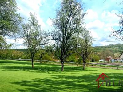 For sale Zetting 1732 m2 Moselle (57115) photo 1