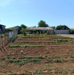Annonce Vente Terrain  79