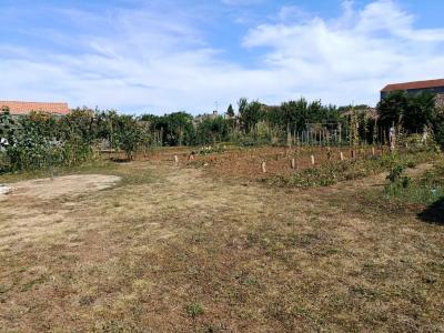 Acheter Terrain  Deux sevres