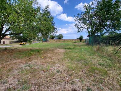 Annonce Vente Terrain  01