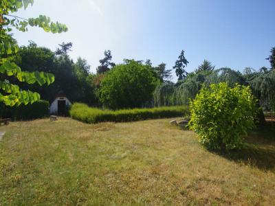 Annonce Vente 5 pices Maison Dammarie-sur-loing 45
