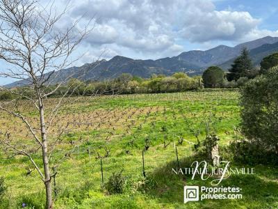For sale Laroque-des-alberes 7 rooms 207 m2 Pyrenees orientales (66740) photo 4