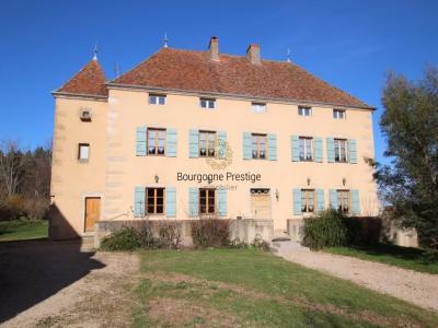 Acheter Prestige 481 m2 Cluny