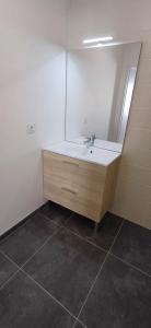 Louer Appartement Vienne Isere