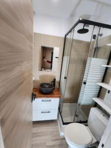 Annonce Location Appartement Toulouse 31