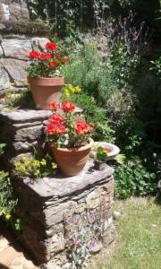 Acheter Maison Conques 280000 euros