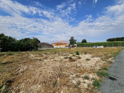 Acheter Terrain Saint-julien-de-l'escap 19000 euros