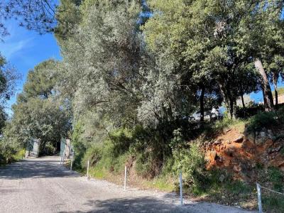 Annonce Vente 3 pices Maison  06