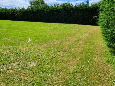 Annonce Vente Terrain  01