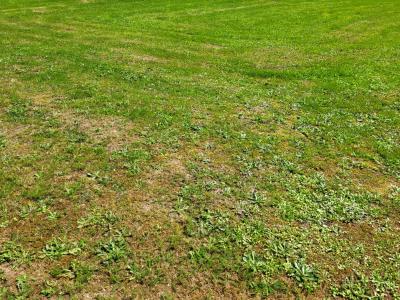 Acheter Terrain 1 m2 