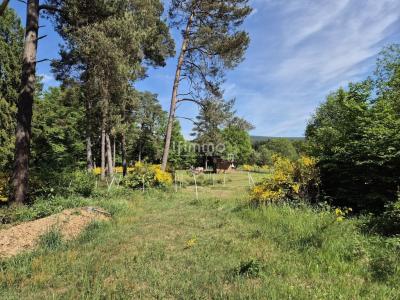 For sale Philippsbourg 3 rooms 85 m2 Moselle (57230) photo 2