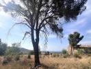 Vente Terrain Boutenac 4795 m2
