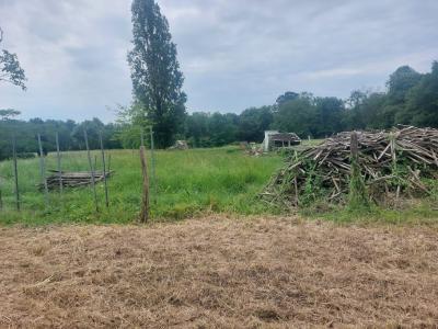 Annonce Vente 7 pices Maison Saint-mariens 33