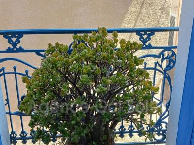 For sale Nissan-lez-enserune 5 rooms 150 m2 Herault (34440) photo 2