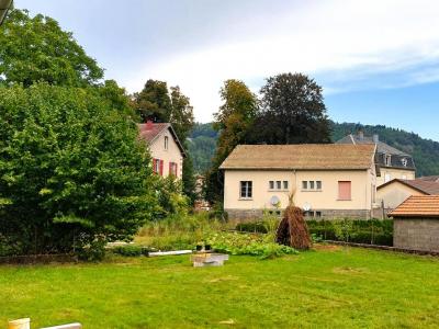 Acheter Maison 70 m2 Luxeuil-les-bains