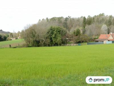 Acheter Terrain 3672 m2 Campsegret