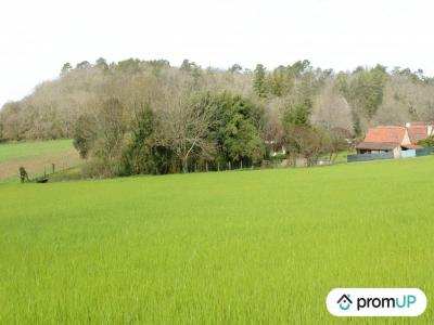 Acheter Terrain Campsegret 46000 euros