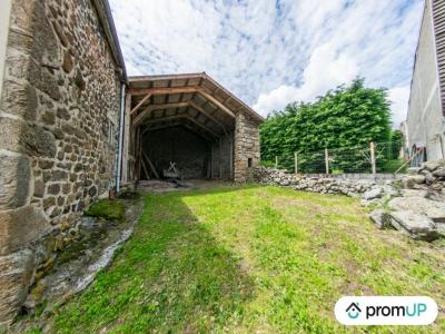 Annonce Vente 4 pices Maison Saint-etienne-du-vigan 43