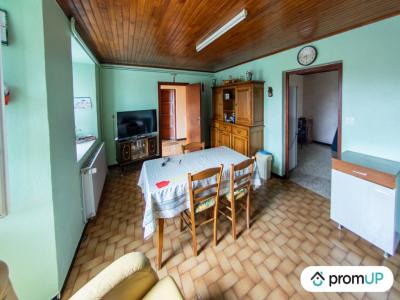 Acheter Maison Saint-etienne-du-vigan 135000 euros