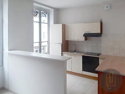 Acheter Appartement 47 m2 Lyon-7eme-arrondissement