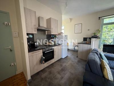 Annonce Location 4 pices Appartement Blois 41