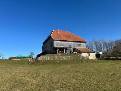 Annonce Vente 8 pices Maison Maiche 25