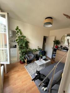 For rent Paris-14eme-arrondissement 2 rooms 24 m2 Paris (75014) photo 2