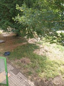 For rent Gennes 3 rooms 77 m2 Maine et loire (49350) photo 1