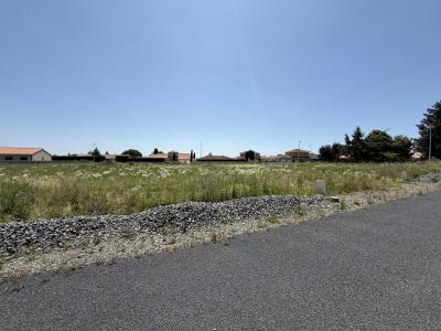 Annonce Vente Terrain Joze 63