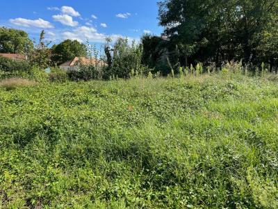 Annonce Vente Terrain Saint-martin-en-bresse 71