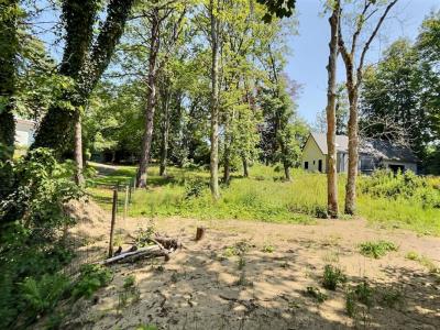 For sale Neufchatel-hardelot 1834 m2 Pas de calais (62152) photo 3