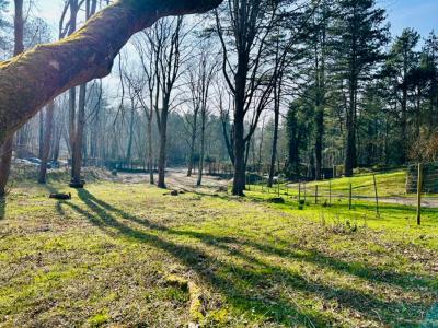 For sale Neufchatel-hardelot 1834 m2 Pas de calais (62152) photo 4