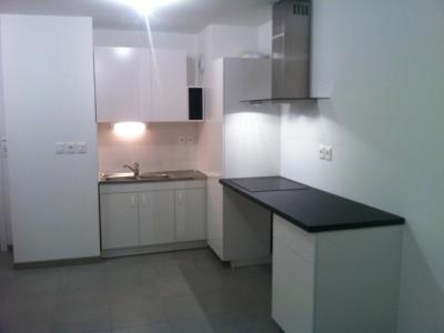 For rent Lille 2 rooms 44 m2 Nord (59000) photo 1