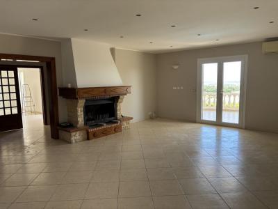 Annonce Location 8 pices Maison Lucciana 20