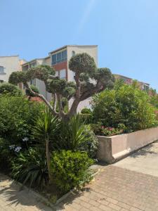 Louer Appartement Frejus Var